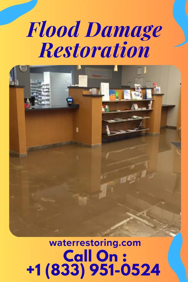 Flood Damage Restoration in White Castle, LA